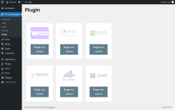 Page screenshot: RC Site Manager &rarr; Plugin