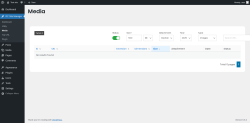 Page screenshot: RC Site Manager &rarr; Media