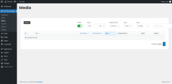 Page screenshot: RC Site Manager &rarr; Media