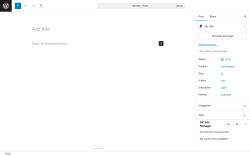 Page screenshot: Add Post &lsaquo; Test site &mdash; WordPress