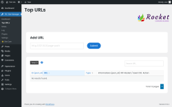 Page screenshot: RC Site Manager &rarr; Top URLs