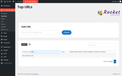 Page screenshot: RC Site Manager &rarr; Top URLs
