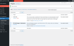 Page screenshot: Plugins &lsaquo; Test site &mdash; WordPress
