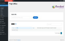 Page screenshot: RC Site Manager &rarr; Top URLs