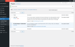 Page screenshot: Plugins &lsaquo; Test site &mdash; WordPress