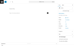 Page screenshot: Add Post &lsaquo; Test site &mdash; WordPress