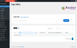 Page screenshot: RC Site Manager &rarr; Top URLs