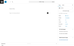 Page screenshot: Add Page &lsaquo; Test site &mdash; WordPress