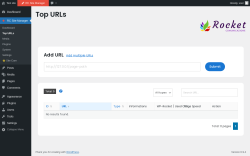 Page screenshot: RC Site Manager &rarr; Top URLs