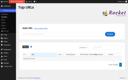 Page screenshot: RC Site Manager &rarr; Top URLs