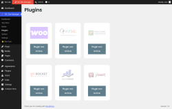 Page screenshot: RC Site Manager &rarr; Plugins