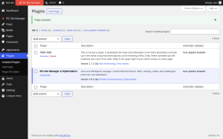 Page screenshot: Plugins &lsaquo; Test site &mdash; WordPress