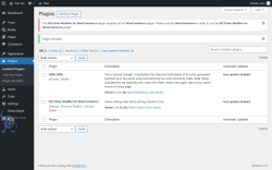 Page screenshot: Plugins ‹ Test site — WordPress