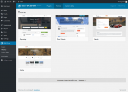 Page screenshot: BWS Panel &rarr; Themes