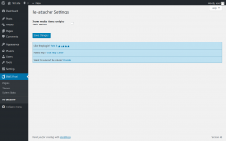 Page screenshot: BWS Panel &rarr; Re-attacher