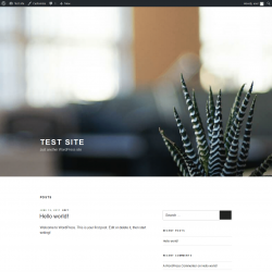 Page screenshot: Test site &ndash; Just another WordPress site