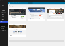 Page screenshot: BWS Panel &rarr; Themes