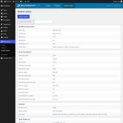 Page screenshot: BWS Panel &rarr; System Status