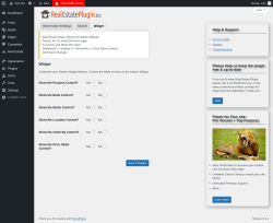 Page screenshot: Real Estate &rarr; Settings &rarr; Widget