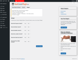 Page screenshot: Real Estate &rarr; Settings &rarr; Widget