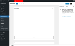 Page screenshot: Widgets &lsaquo; Test site &mdash; WordPress