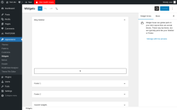 Page screenshot: Widgets &lsaquo; Test site &mdash; WordPress