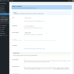 Page screenshot: Find & Replace → Replace in Database