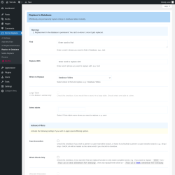 Page screenshot: Find & Replace → Replace in Database