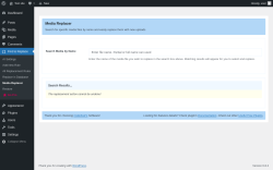Page screenshot: Find & Replace → Media Replacer