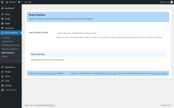 Page screenshot: Find & Replace → Media Replacer