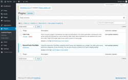 Page screenshot: Plugins &lsaquo; Test site &mdash; WordPress