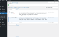 Page screenshot: Plugins &lsaquo; Test site &mdash; WordPress