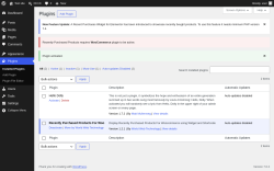 Page screenshot: Plugins &lsaquo; Test site &mdash; WordPress