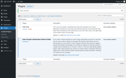 Page screenshot: Plugins &lsaquo; Test site &mdash; WordPress