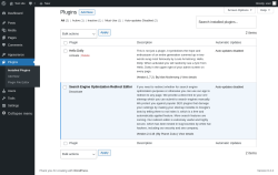 Page screenshot: Plugins &lsaquo; Test site &mdash; WordPress