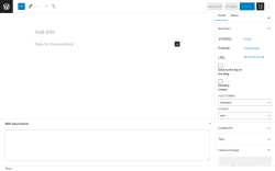 Page screenshot: Add New Post &lsaquo; Test site &mdash; WordPress