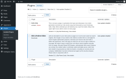 Page screenshot: Plugins &lsaquo; Test site &mdash; WordPress
