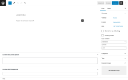 Page screenshot: Add New Post &lsaquo; Test site &mdash; WordPress