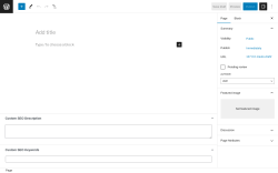 Page screenshot: Add New Page &lsaquo; Test site &mdash; WordPress