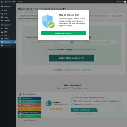 Page screenshot: Redirection &lsaquo; Test site &mdash; WordPress