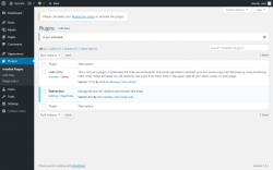 Page screenshot: Plugins &lsaquo; Test site &mdash; WordPress