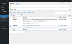 Page screenshot: Plugins &lsaquo; Test site &mdash; WordPress