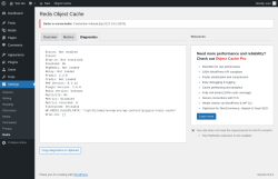 Page screenshot: Settings → Redis → 
                            Diagnostics                        