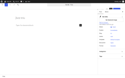 Page screenshot: Add Post &lsaquo; Test site &mdash; WordPress