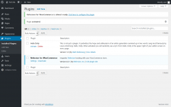 Page screenshot: Plugins &lsaquo; Test site &mdash; WordPress