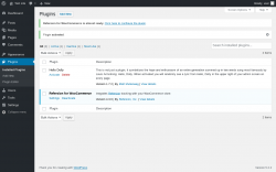 Page screenshot: Plugins &lsaquo; Test site &mdash; WordPress