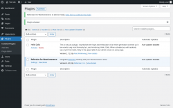 Page screenshot: Plugins &lsaquo; Test site &mdash; WordPress