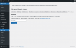 Page screenshot: Settings &rarr; Relevanssi &rarr; 
			Debugging