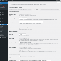 Page screenshot: Settings &rarr; Relevanssi &rarr; 
			Excerpts and highlights