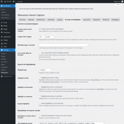 Page screenshot: Settings &rarr; Relevanssi &rarr; 
			Excerpts and highlights